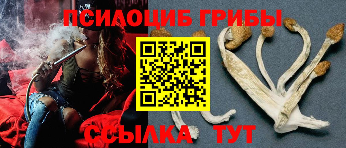 Псилоцибиновые грибы прущие грибы Чайковский