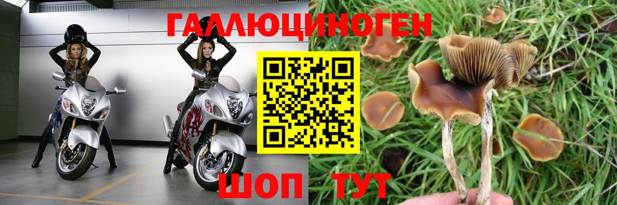 Чайковский  Псилоцибиновые грибы прущие грибы  Галлюциногенные грибы прущие грибы  Вход с VPN 